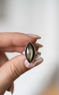 Anillo Obsidiana Dorada — Plata .925 | Orela